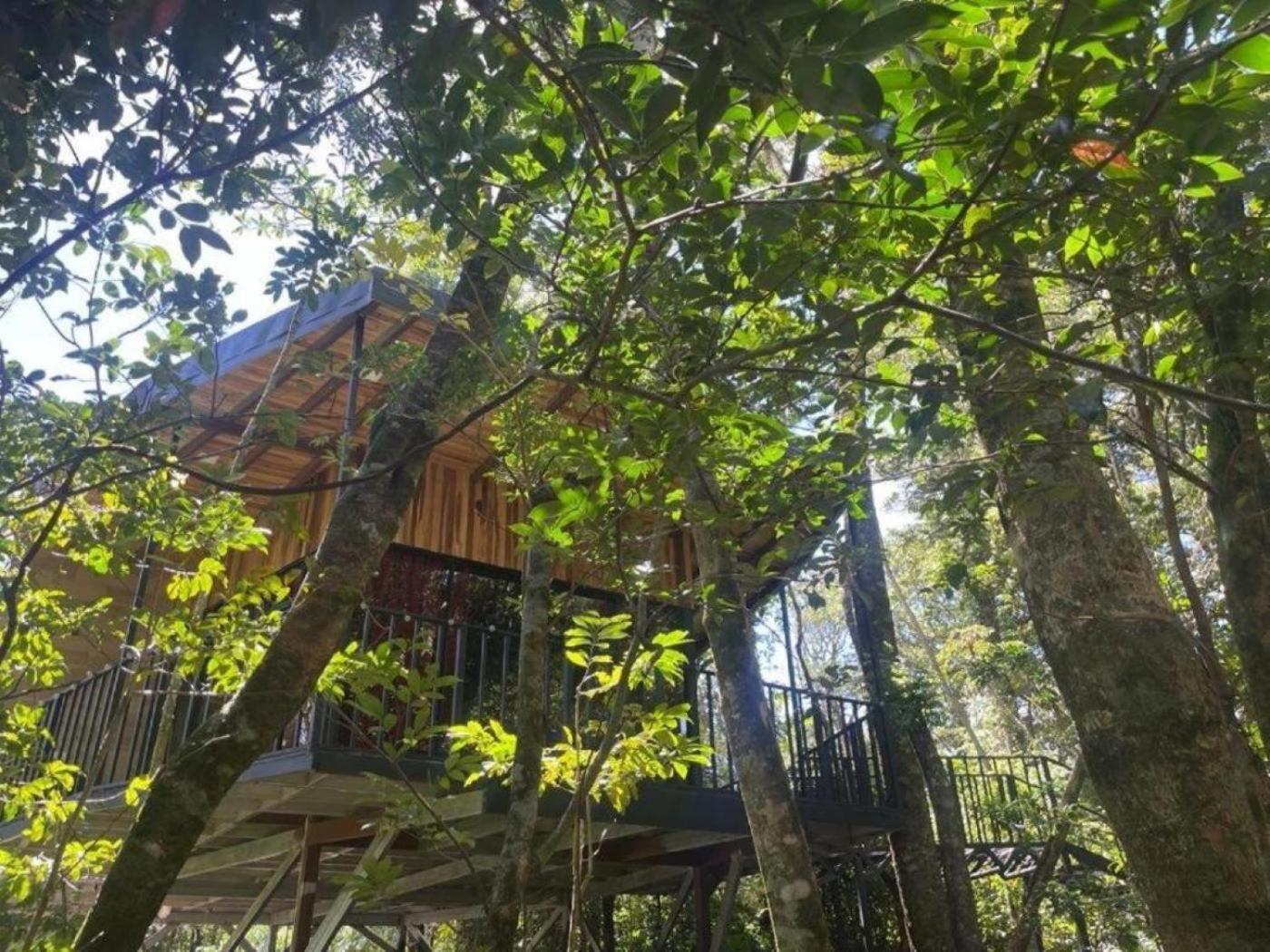 Roca Verde - Monteverde Cloud Forest Lodging Exterior photo