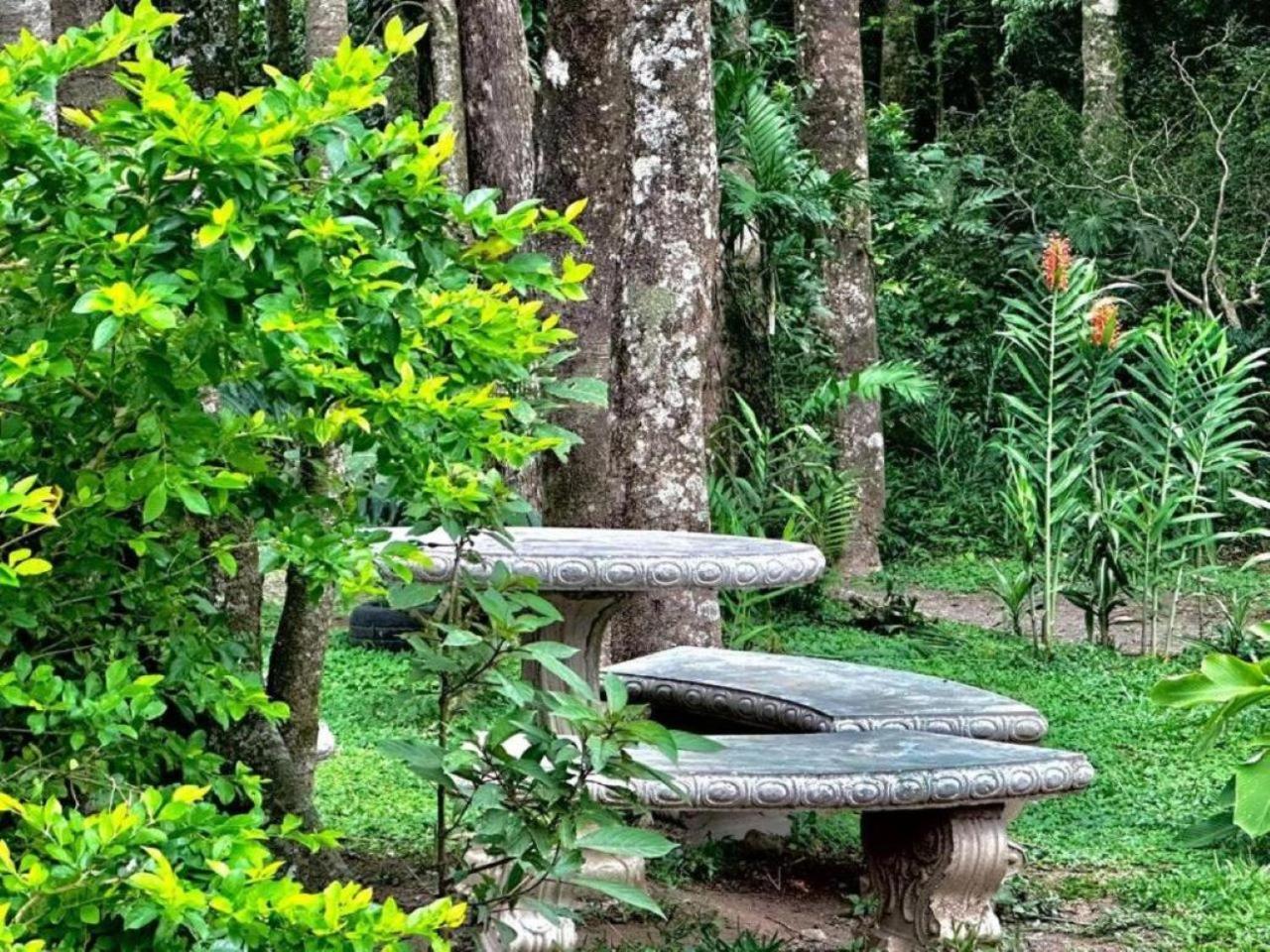 Roca Verde - Monteverde Cloud Forest Lodging Exterior photo